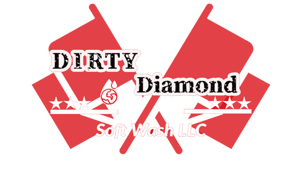 Dirty Diamond Soft Wash LLC Logo